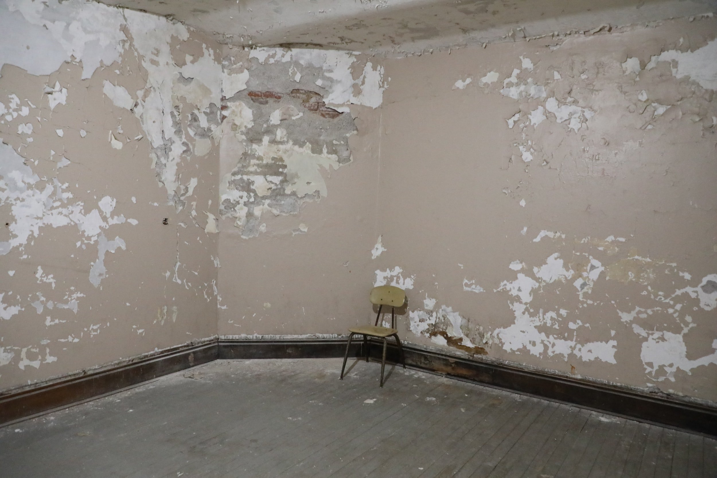 Moisture Control for the Home: How to Prevent Mold and Mildew